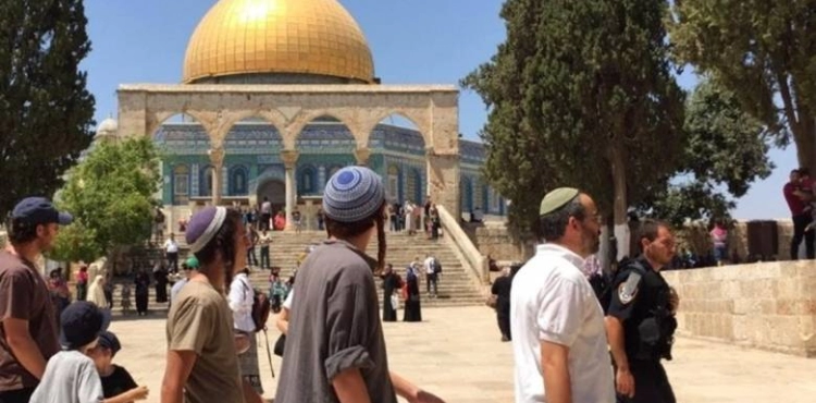 Dozens of Settlers Intrude the Al-Aqsa Mosque Compound