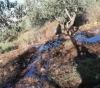 Settlers pumping waste water in Bethlehem