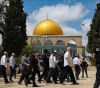 Scores of settlers storm Al-Aqsa Mosque