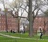 An investigation into giving Harvard University priority to the children of its former graduates