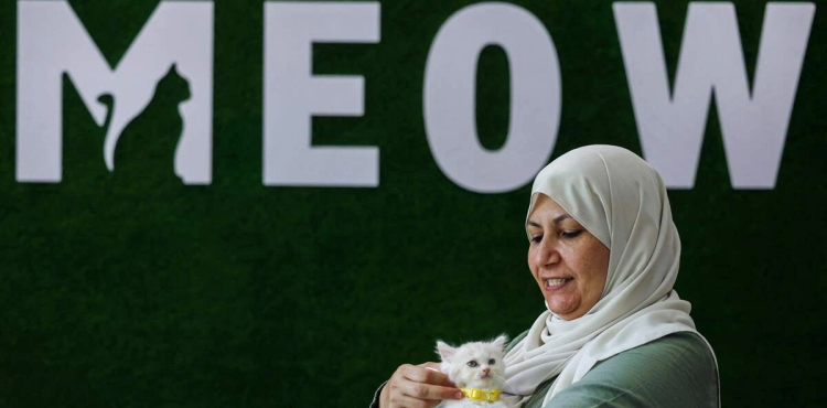Photos || Gazan Woman Opens the First Cat Café