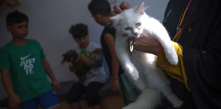 Photos || Gazan Woman Opens the First Cat Café
