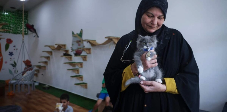 Photos || Gazan Woman Opens the First Cat Café