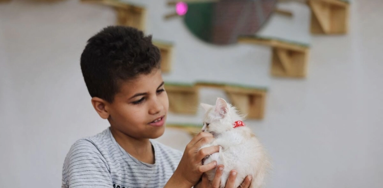 Photos || Gazan Woman Opens the First Cat Café