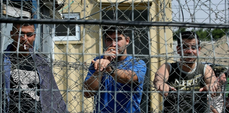 The Red Cross calls on the occupation to protect the rights of Palestinian prisoners