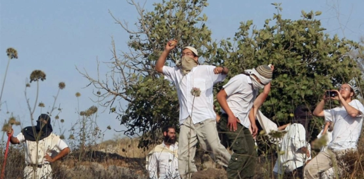 A citizen was injured after settlers attacked him in Nablus