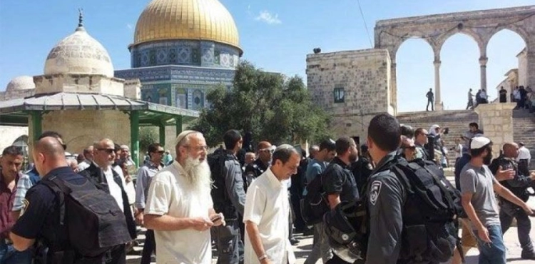 Dozens of settlers storm Al-Aqsa