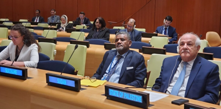 Palestine participates in a coordination meeting and ministerial conference of the Group of 77 and China