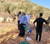 The occupation prevents a family from picking olives and detains them for hours south of Nablus