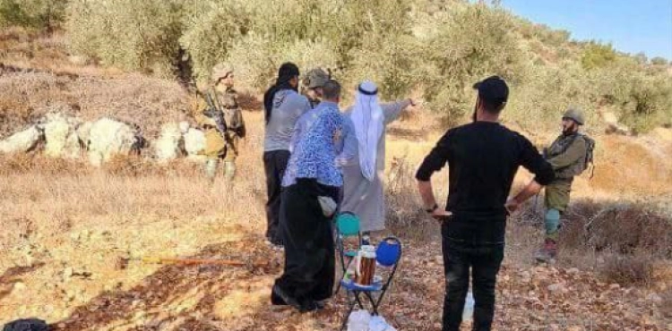 The occupation prevents a family from picking olives and detains them for hours south of Nablus