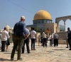 Dozens of settlers storm Al-Aqsa