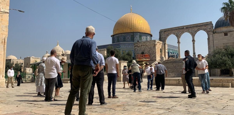 Dozens of settlers storm Al-Aqsa