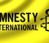 Amnesty International: Israel must stop displacing the population of Gaza
