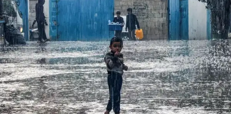 Extreme cold and rain double the suffering of the people of Gaza.. An urgent call for rapid intervention