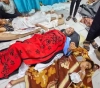 Health in Gaza: The occupation’s targeting of the Indonesian Hospital means the cessation of services in the northern Gaza Strip