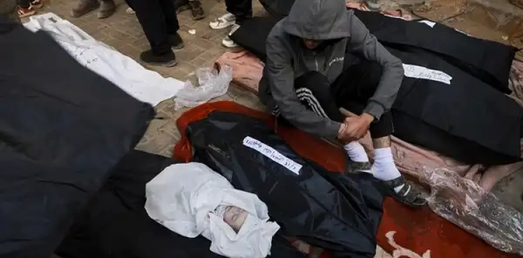For the 193rd day... martyrs and wounded in the ongoing Israeli war on the Gaza Strip