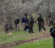 Settlers uproot trees and bulldoze lands in Hebron and Salfit