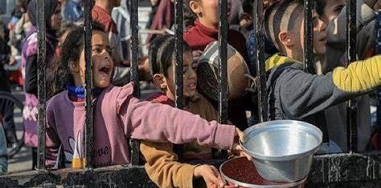 Gaza on the Brink: Children Dying from Hunger and Disease Amid Deepening Crisis