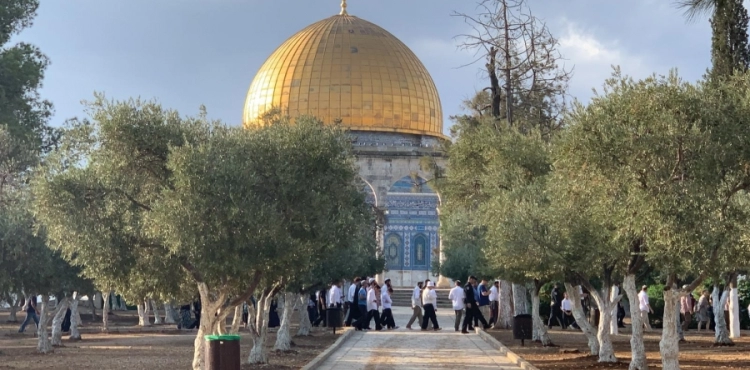 Settlers storm Al-Aqsa, with the Israeli police escort