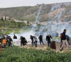 12 injuries during confrontations Mughayer