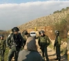 The occupation notifies the uprooting of 70 olive trees in the northern Jordan Valley