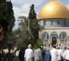 64 settlers Enter the Al-aqsa mosque with heavy security from the Israeli occupation forces