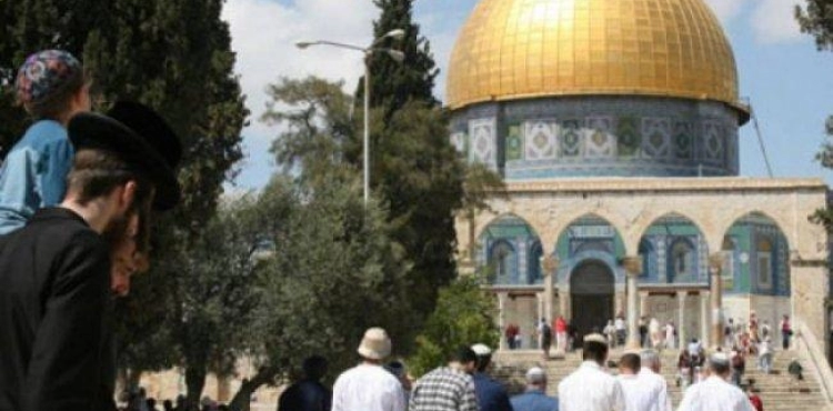 64 settlers Enter the Al-aqsa mosque with heavy security from the Israeli occupation forces