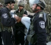 The occupation arrests four Jerusalemites, including a child