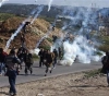 A young man was injured by the occupation bullets and dozens suffocated in the weekly Kafr Qaddoum march