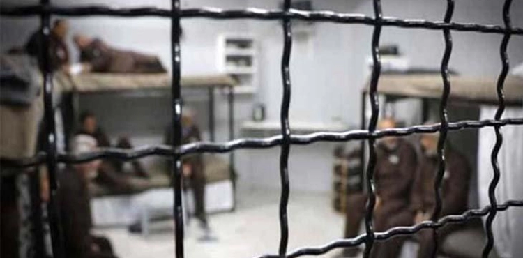 Sentences and extension of prisoner detention and releases
