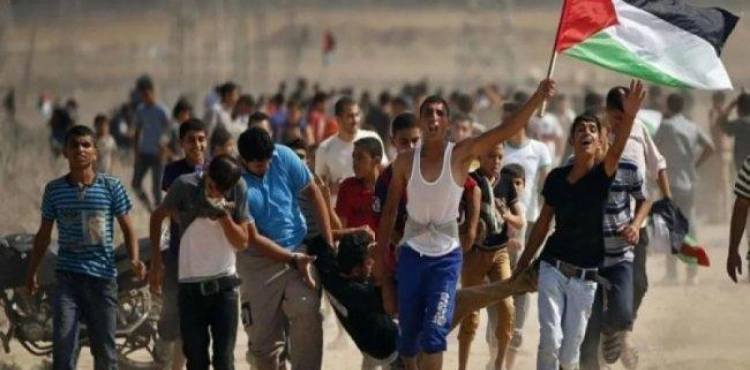 Two martyrs, one child and 367 injured by the occupation in the east of the Gaza Strip