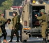 The occupation arrests 8 citizens