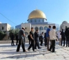 Settlers continue their incursions into Al-Aqsa mosque