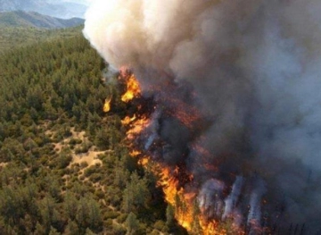 Delta fires raging again in California