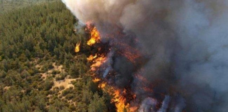 Delta fires raging again in California