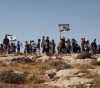 Settlers destroy about 20 dunums of agricultural crops in Masafer Yatta