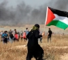 The sector increases tension.. The forces in Gaza: insist on continuing the struggle to break the siege