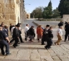 115 settlers storming the Al-Aqsa mosque