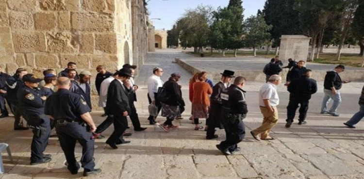 115 settlers storming the Al-Aqsa mosque