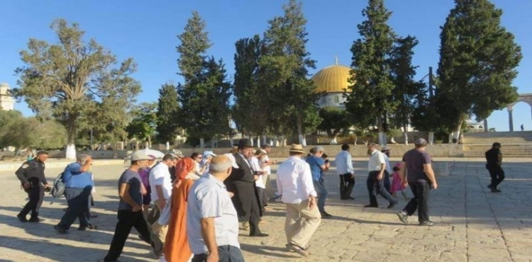 80 settlers storming the Al-Aqsa mosque