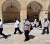 83 settlers storming the Al-Aqsa mosque