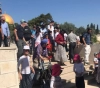 Palestinian martyr and 118 arrests in Jerusalem during August past