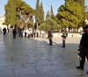 121 Israelis storm Al-Aqsa mosque