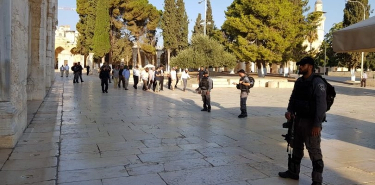 121 Israelis storm Al-Aqsa mosque