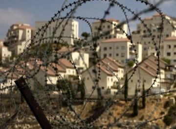 &quot;Peace Now &quot;: Settlement tripled this year
