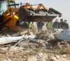 The occupation sweeps Palestinian lands and pulls out 320 olive trees west of Hebron