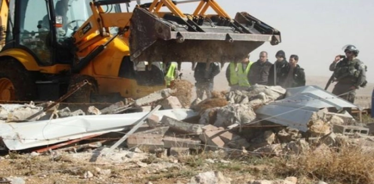 The occupation sweeps Palestinian lands and pulls out 320 olive trees west of Hebron
