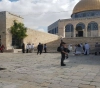 93 Settlers Storm Al-Aqsa mosque