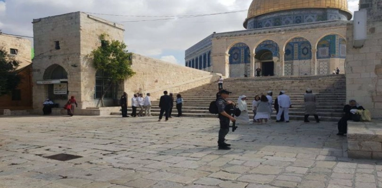93 Settlers Storm Al-Aqsa mosque