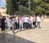 89 settlers and Israeli soldiers storm Al-Aqsa